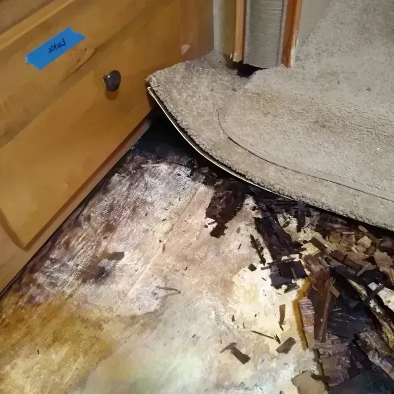 Wood Floor Water Damage in Stanley County, SD